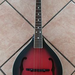 Michael Kelly Legacy Mandolin: 100% Hand Carved Solid Wood
