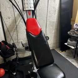 Bowflex Blaze Home Gym and pull up/dip station