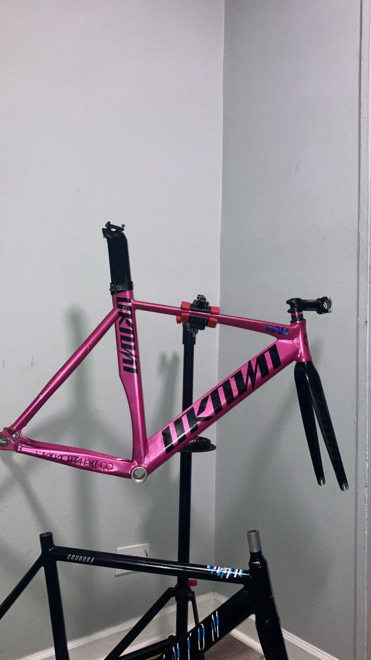Unkown singularity fixed gear frameset