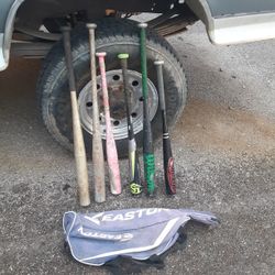6 Bats And Bag