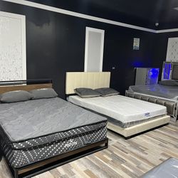 FREE DELIVER SAME DAY 