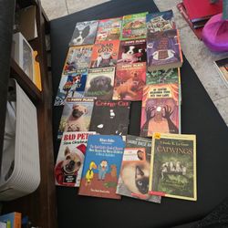 19 Piece YA Book Lot