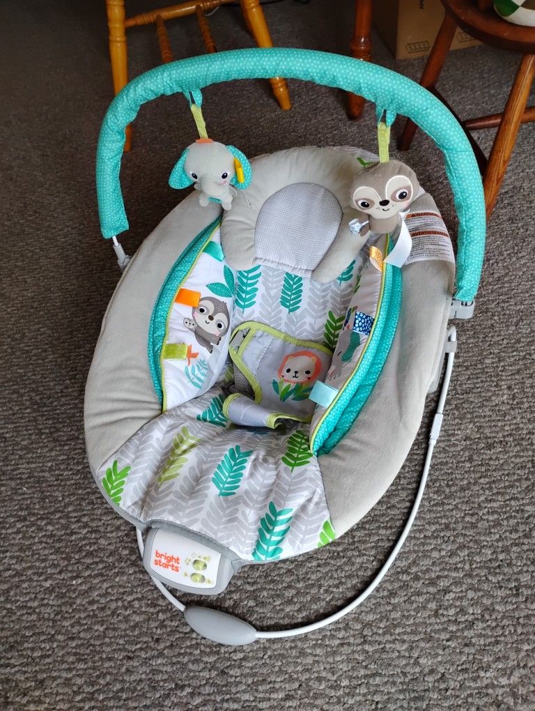 Baby Bouncer 