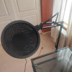 Microphone W/stand, Sound Screen And Sound Card