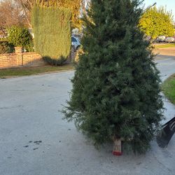 New Christmas Tree 8 Ft. 