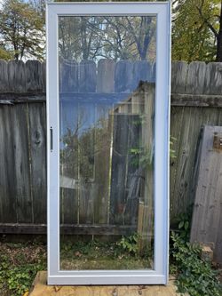Free Storm Glass Door - Larson Brand - Free