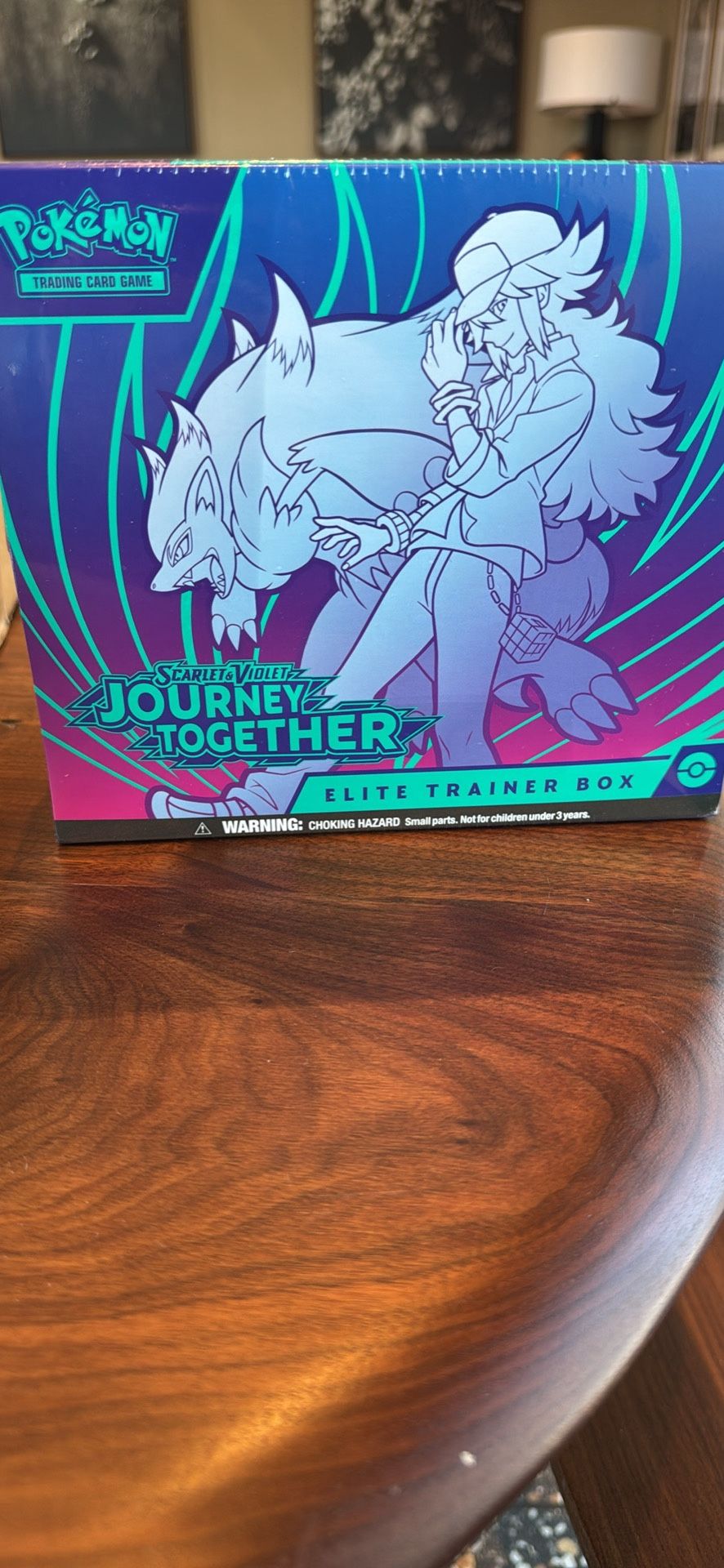 Pokémon Journey Together ETB