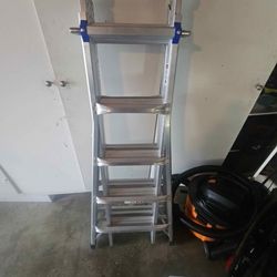 Werner Multi purpose Ladder