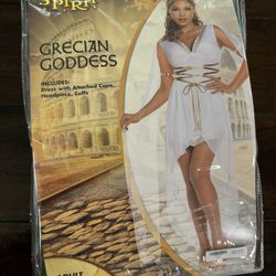 Disfraz/ Costume