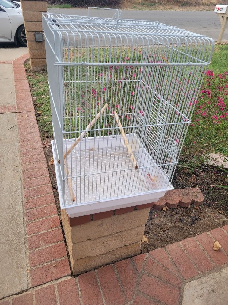 Bird Cage