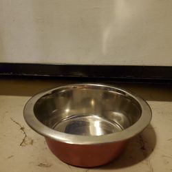 Silver and Brown Dog Water Bowl