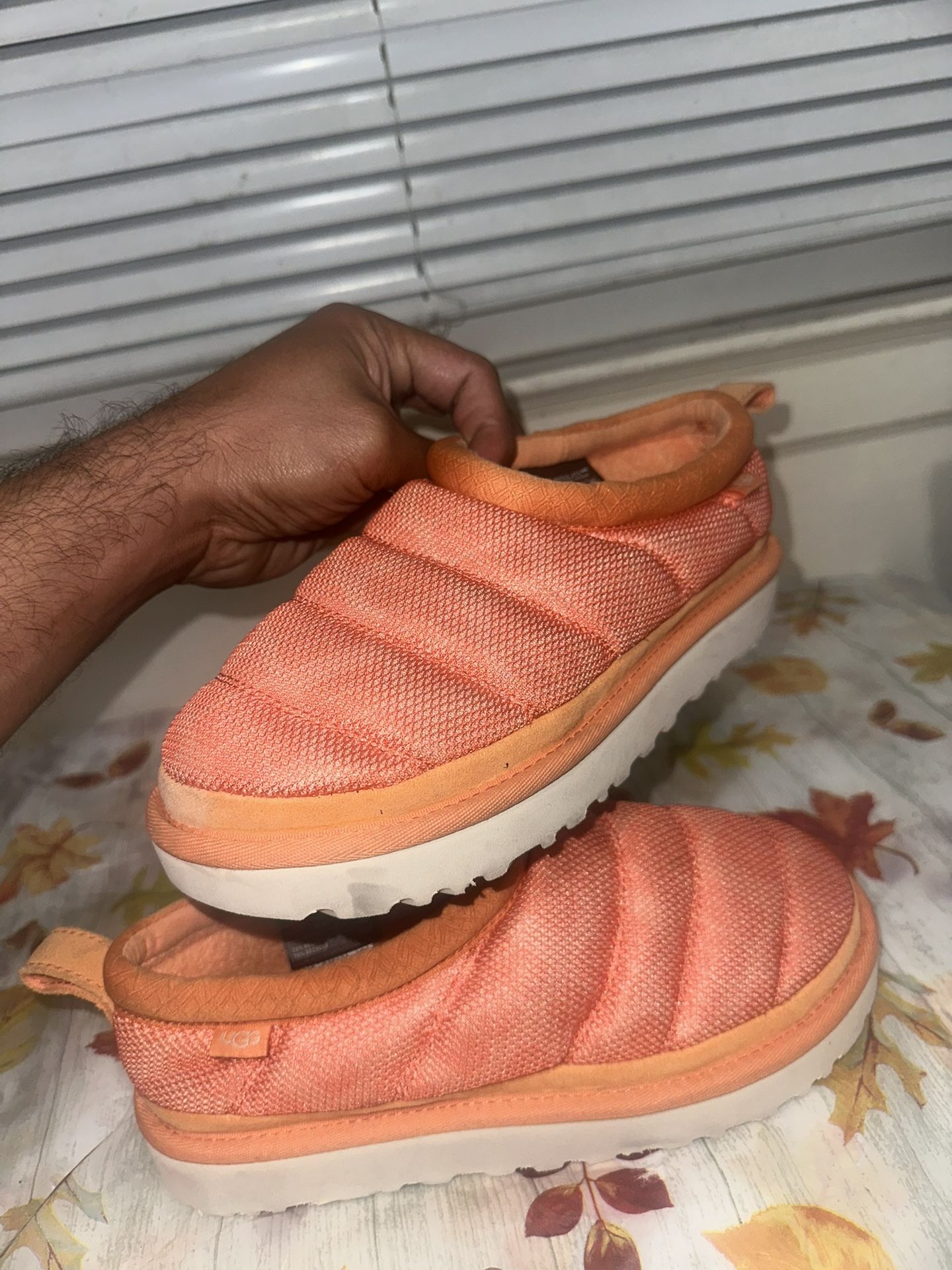 Ugg Tasma