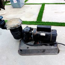 Pool Pump 1.5hp