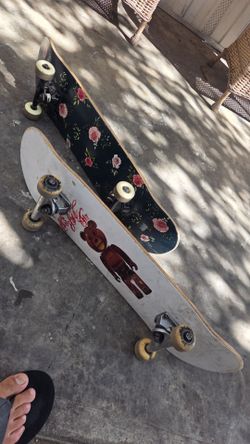 Grizzly Skateboards and krew