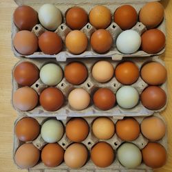 Eggs Organic Farm Fresh!