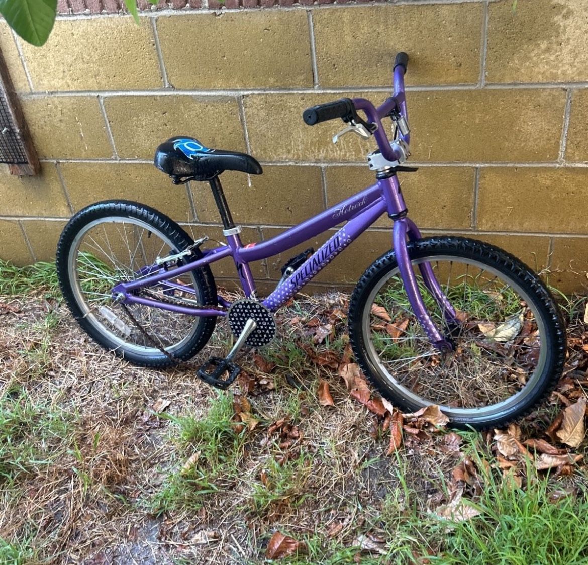 Specialized Bike