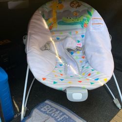 Bright Starts Vibrating Baby Bouncer 