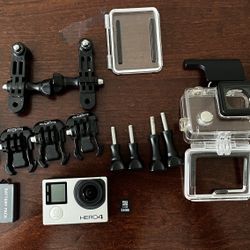 GoPro Hero 4 black With Heavy Duty Travel Case, Follow Cam Pole, LCD Backpack Screen, Many Attachments 