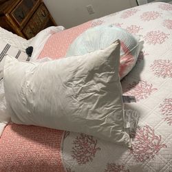 2. King Waterfowl Feather down  Pillows