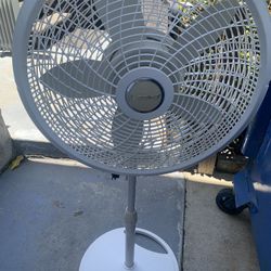 (5) Blades Pedestal Fan From Lasko. (3) Speeds And oscillates. Reduced From $25