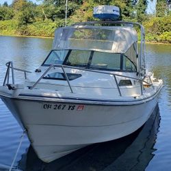 19' ARIMA Sea Ranger, 2011  SUZUKI 115hp 4 Stroke EFI