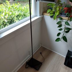 Crate & Barrel Bronze Floor Lamp