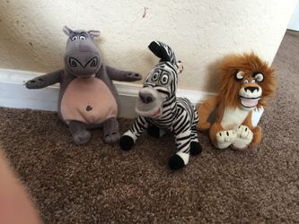 Madagascar animals