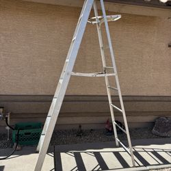 8ft Aluminum Ladder 