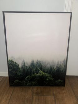 Large Foggy forest framed canvas