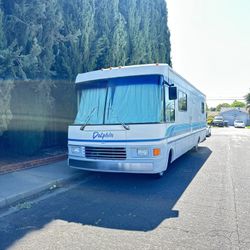 Rv Dolphin 1994