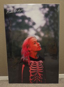 Phoebe Bridgers Music Poster 24x36