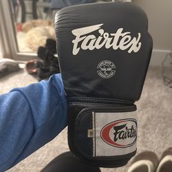 Boxing Gloves Fairtex All Leather 16