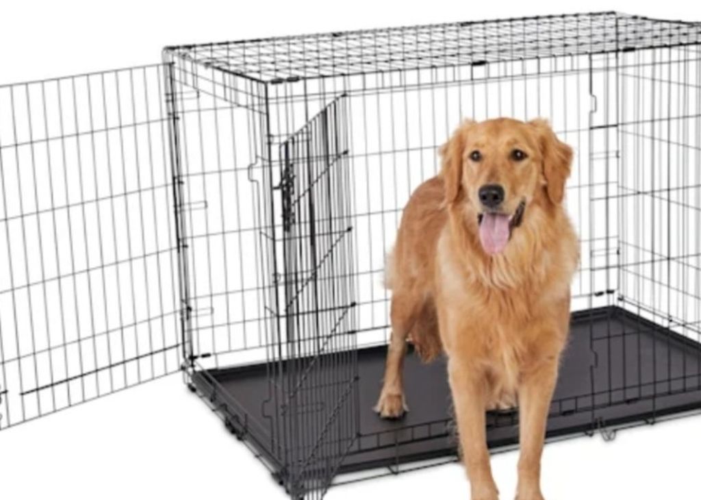 Animaze 2-Door Folding XL Extra Large Dog Crate, 48.5" L x 30.2" W x 32" H