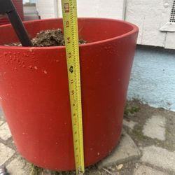 Large Red Pot