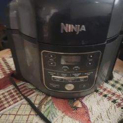 Ninja Air Fryer 