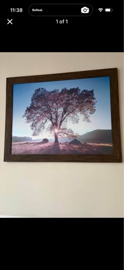 Large scenic photo frame