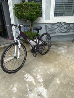 Schwinn Bike