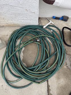 Green garden Hose