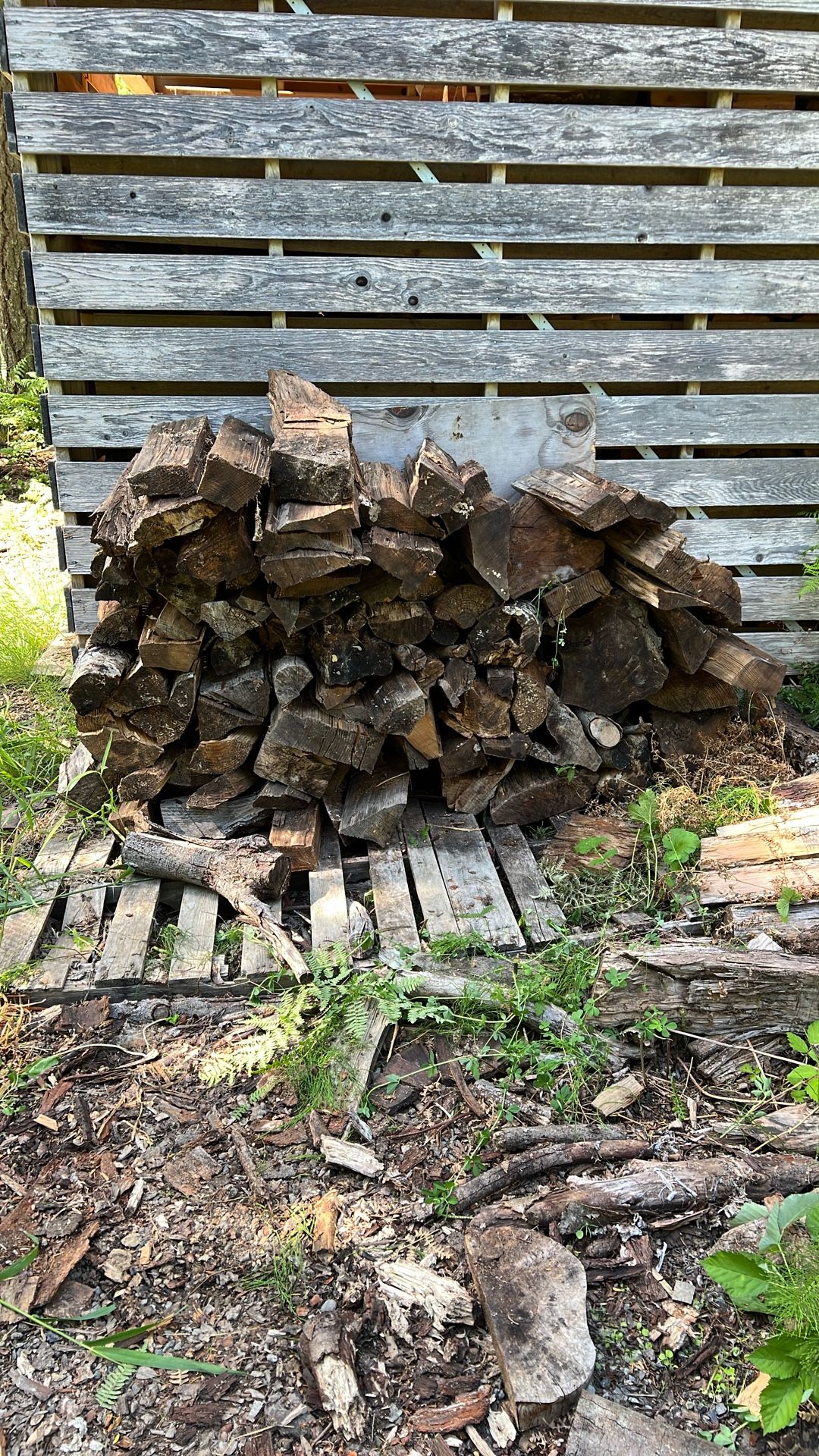 Campfire Wood
