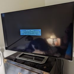 HD LCD Vizio 39" Tesla Flat Monitor TV (Near New condition)