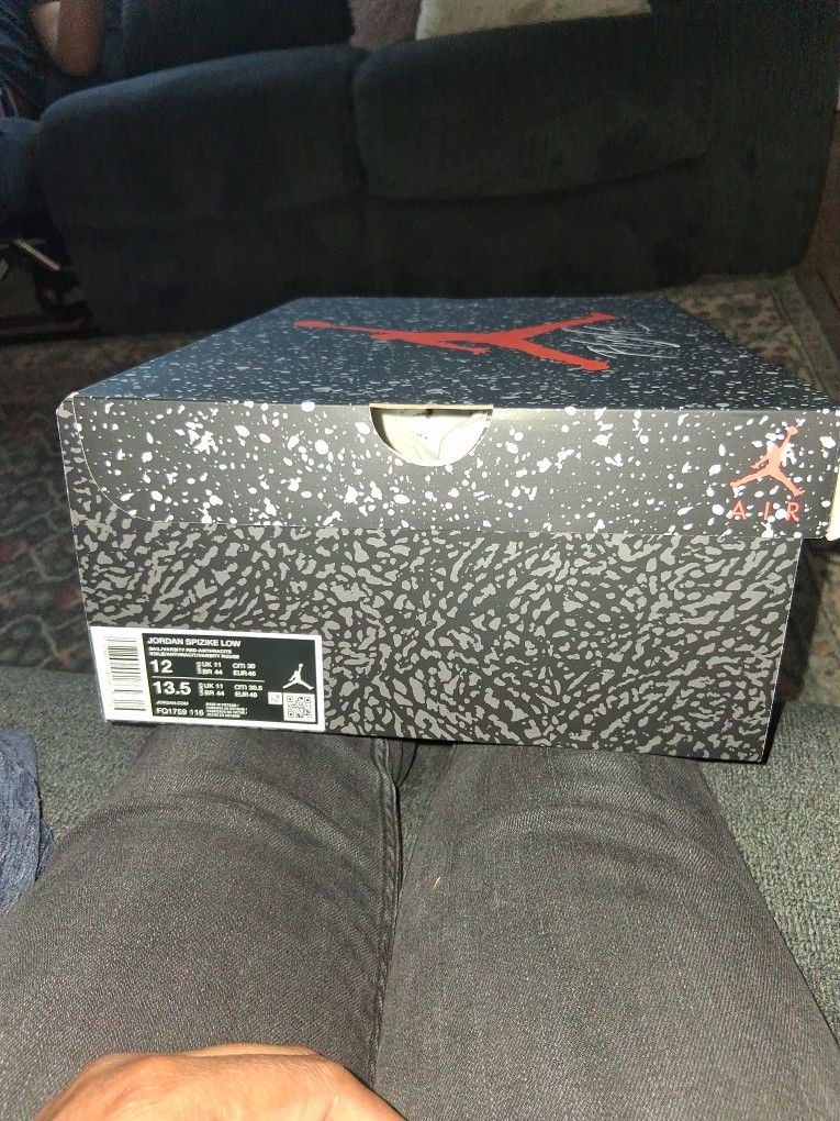 Jordan Spizike Low Size 12 Men