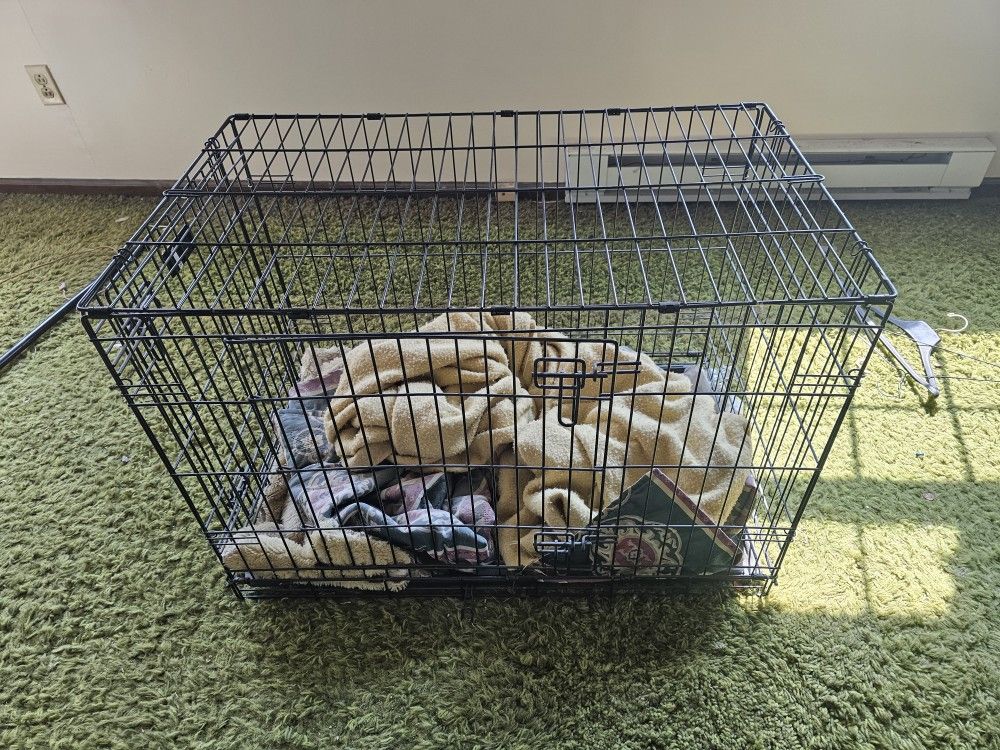 Cage