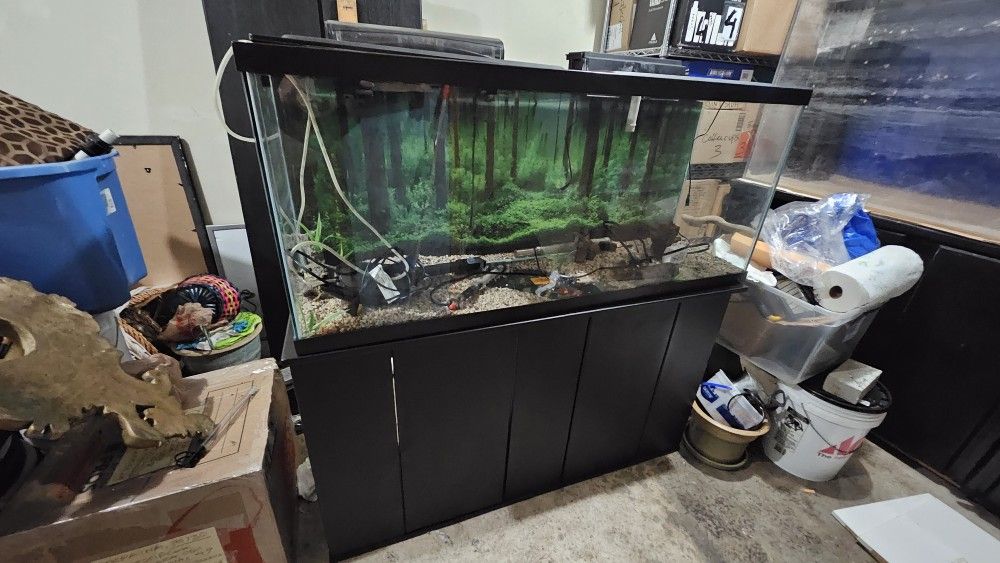 55 Gal Glass Fish Tank W/stand