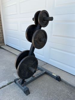 Olympic weights and stand