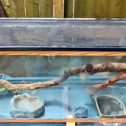Furnished 55 Gallon Aquarium 