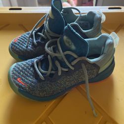 Boys Lebron Nikes 