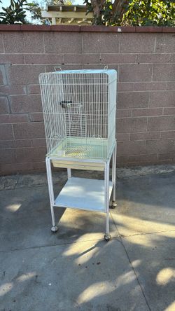 Bird Cage