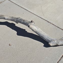 Authentic Driftwood From California