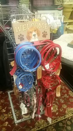 Leather Dog Collar Choice $5 each