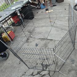 Dog Cage